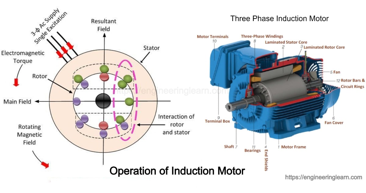 Operation Of Induction Motor Engineering Learner 3071